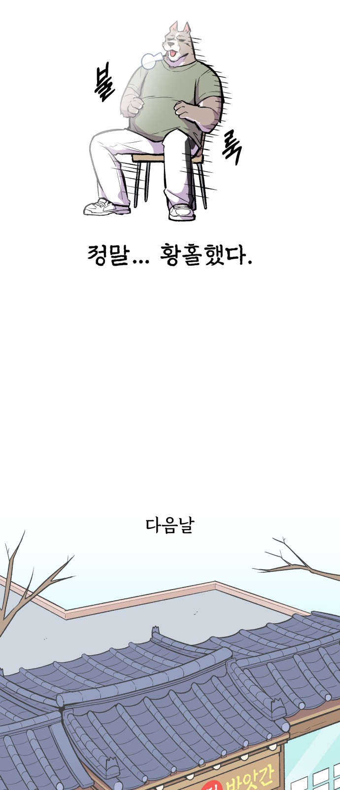 43 페이지