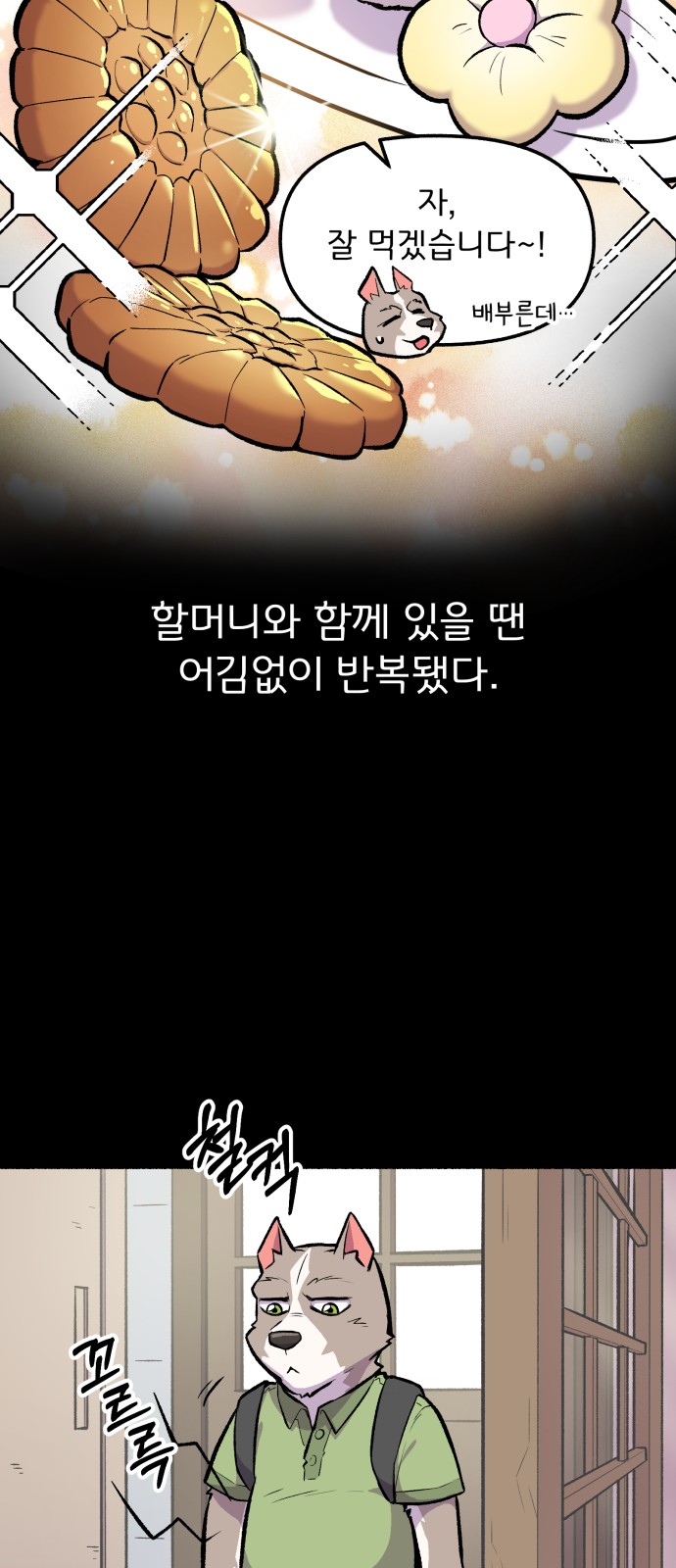 13 페이지