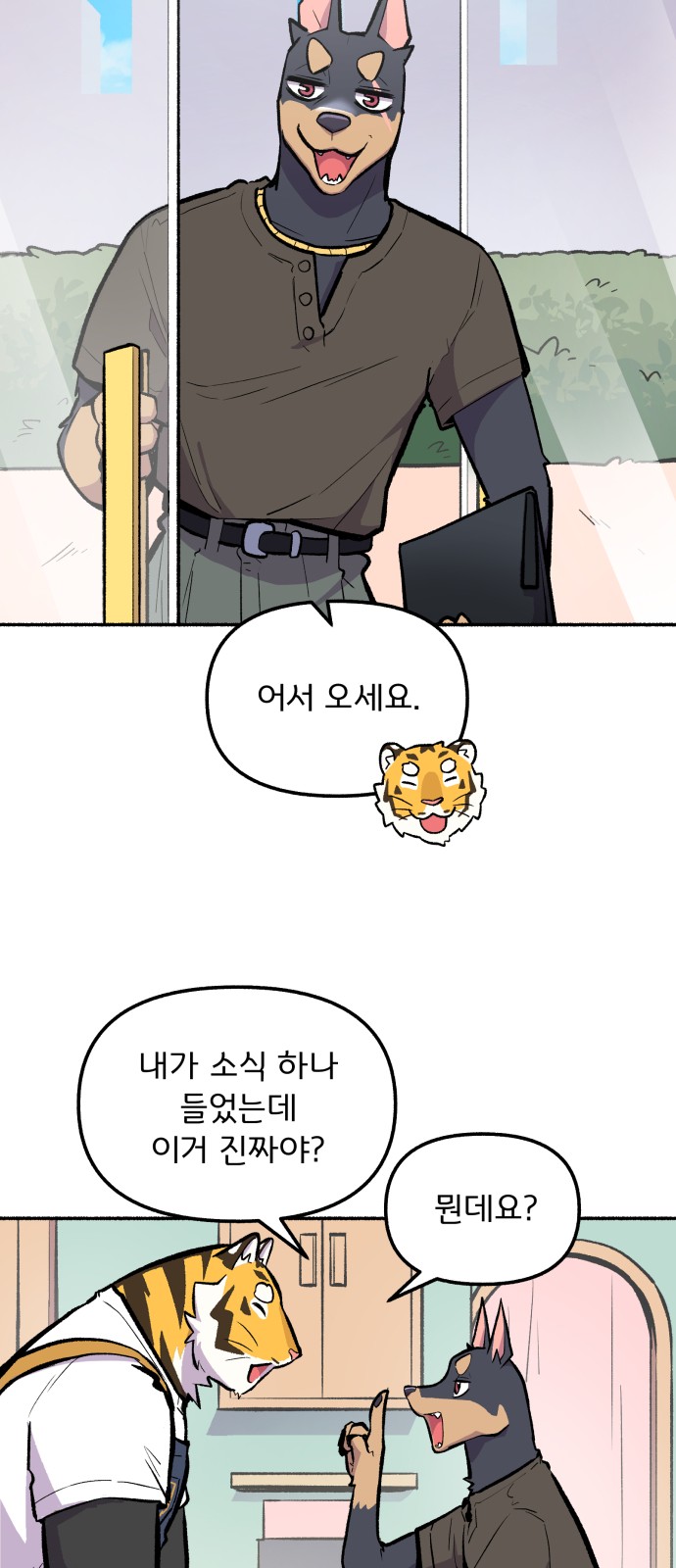 20 페이지