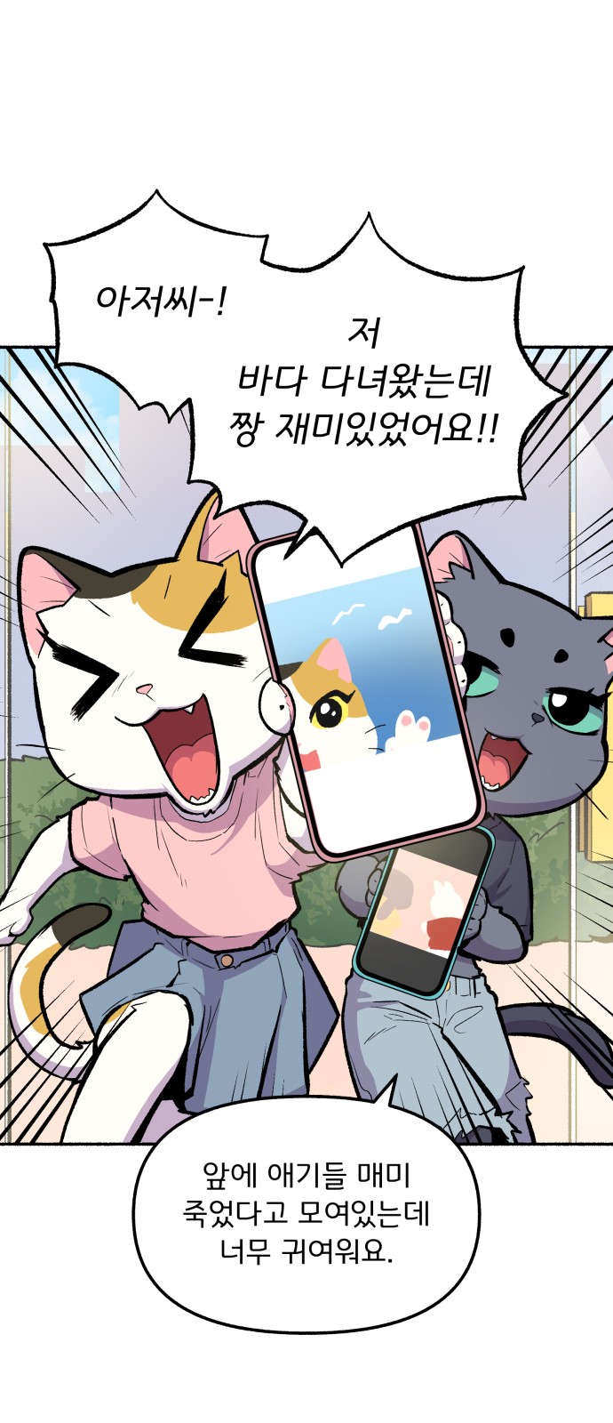 31 페이지
