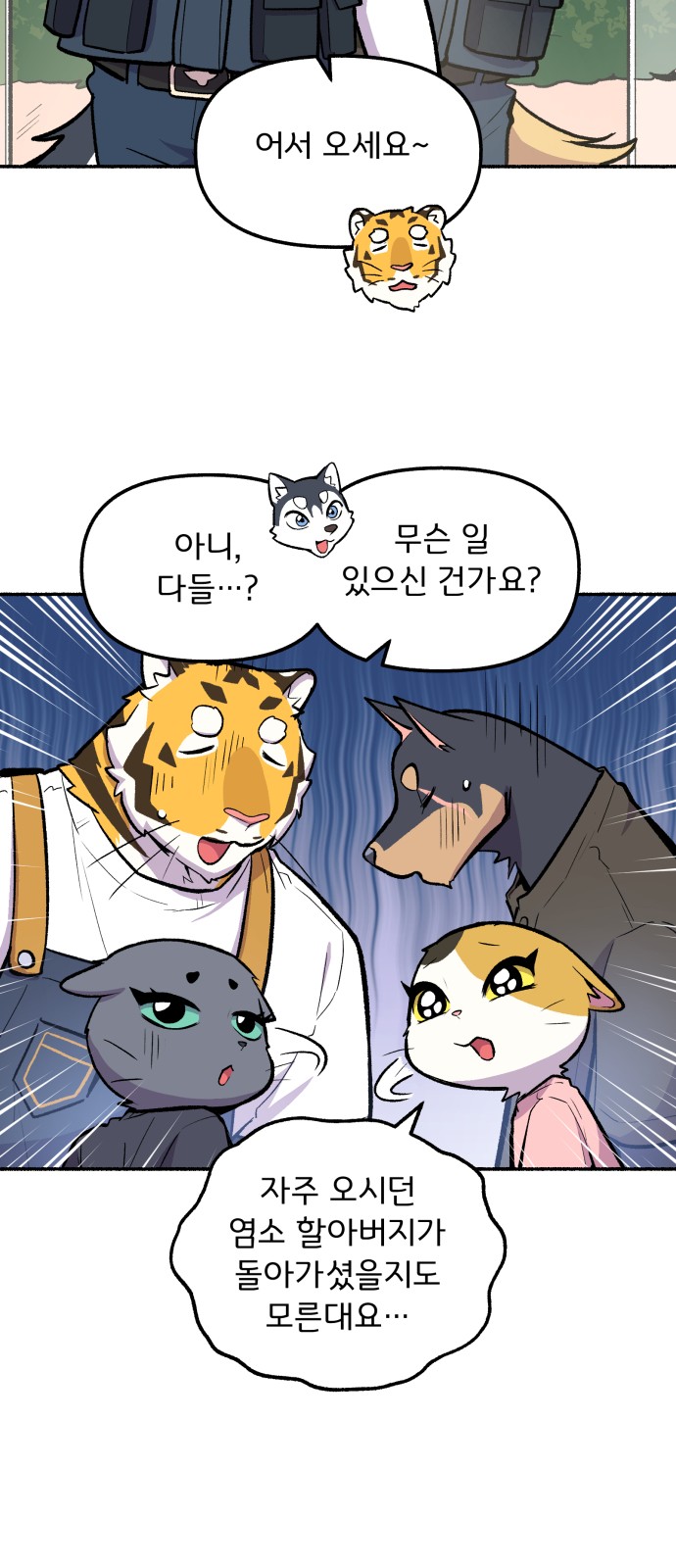 37 페이지
