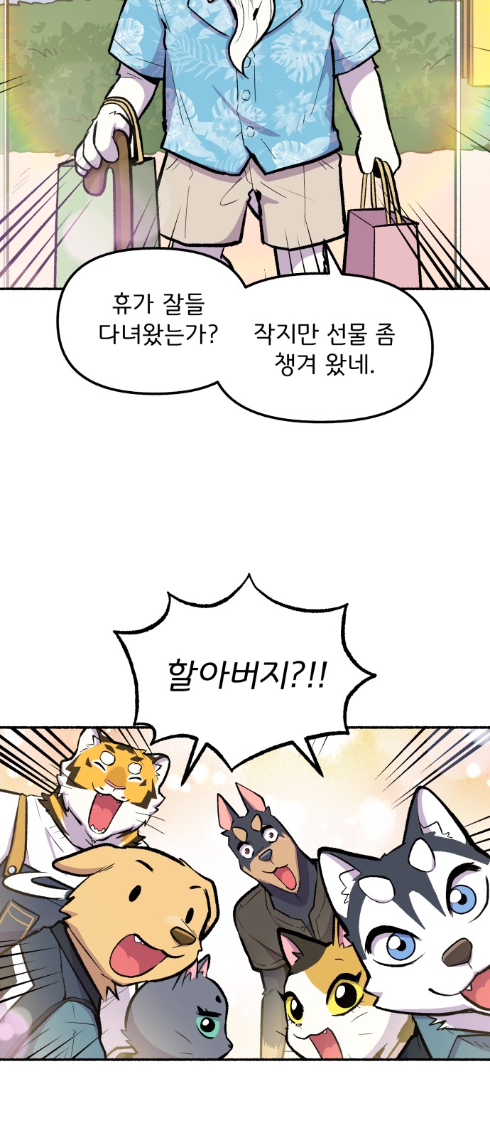 43 페이지