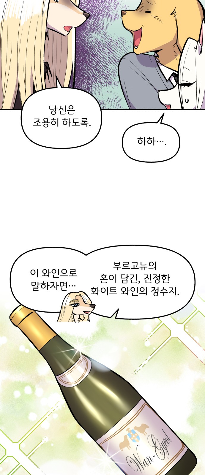 43 페이지