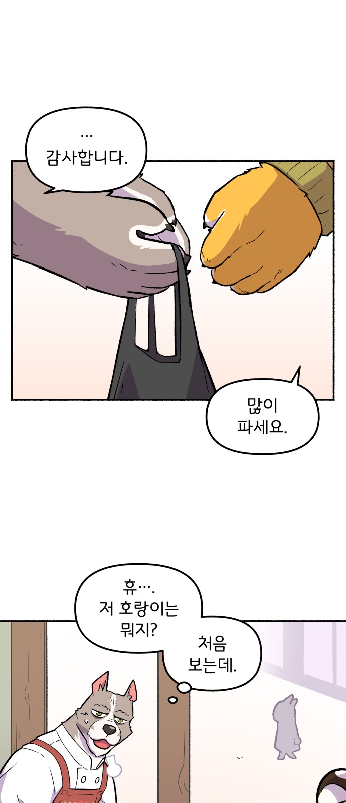 19 페이지