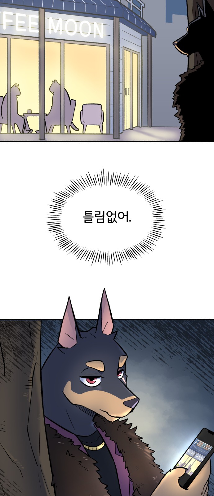 43 페이지