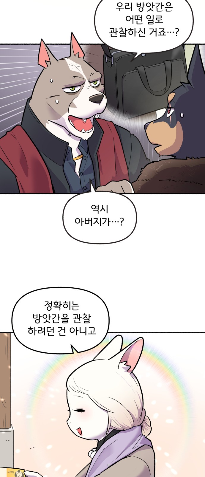 33 페이지
