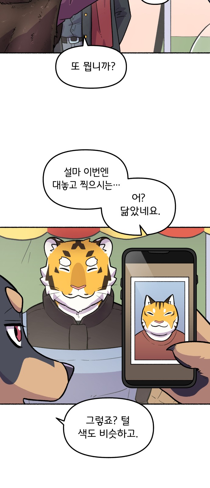 41 페이지