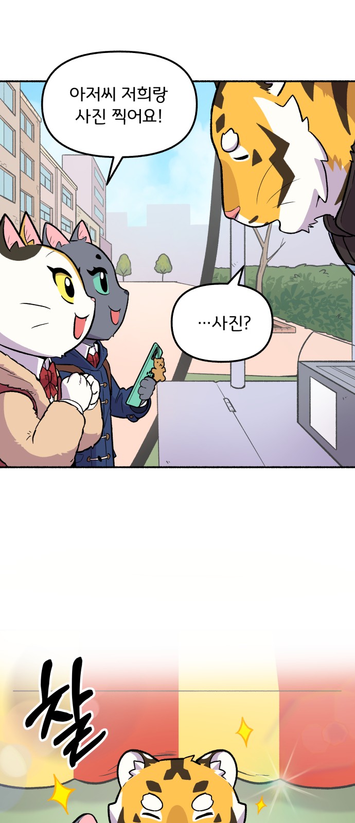 17 페이지