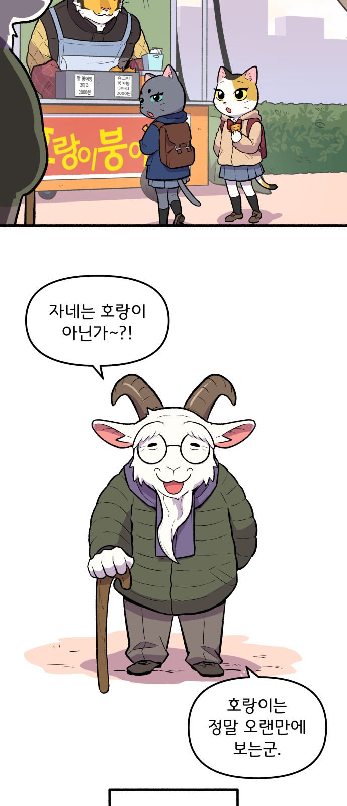 41 페이지