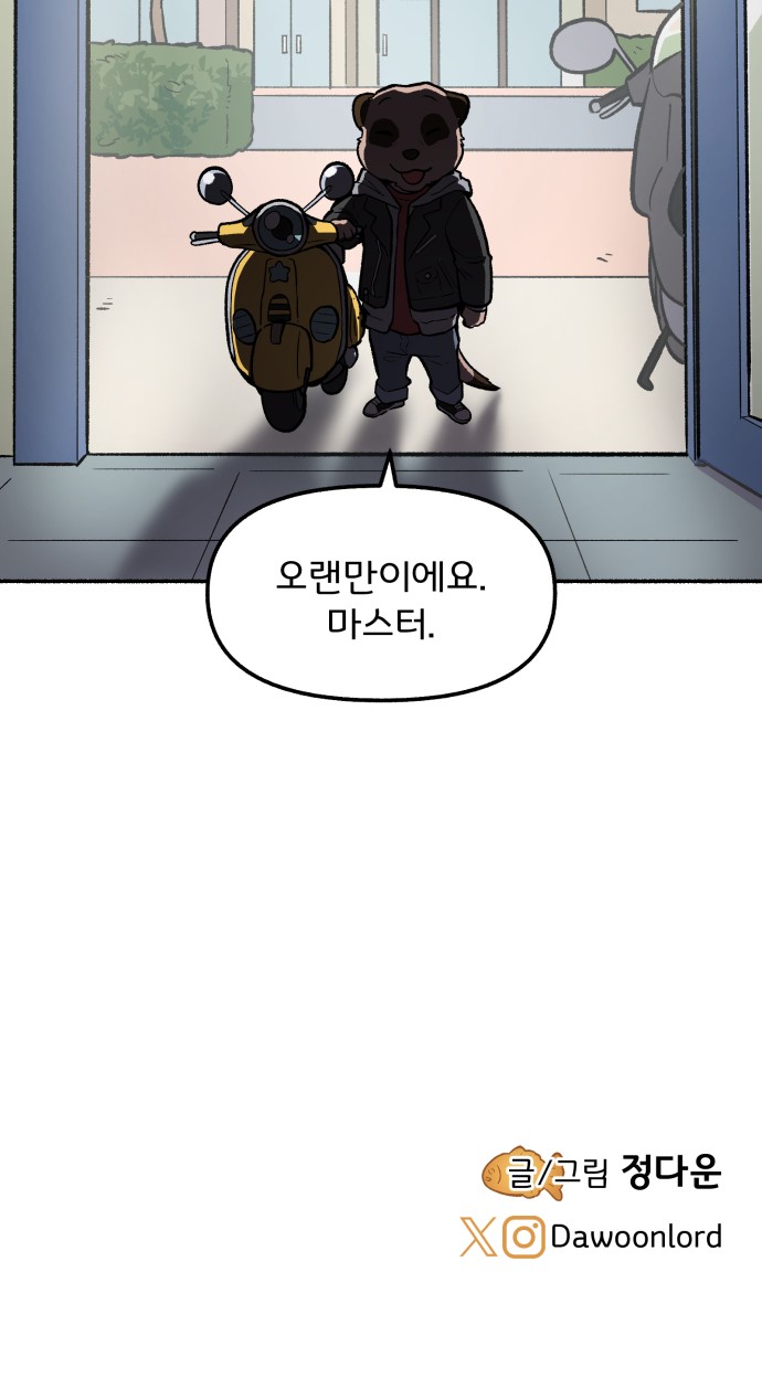 51 페이지