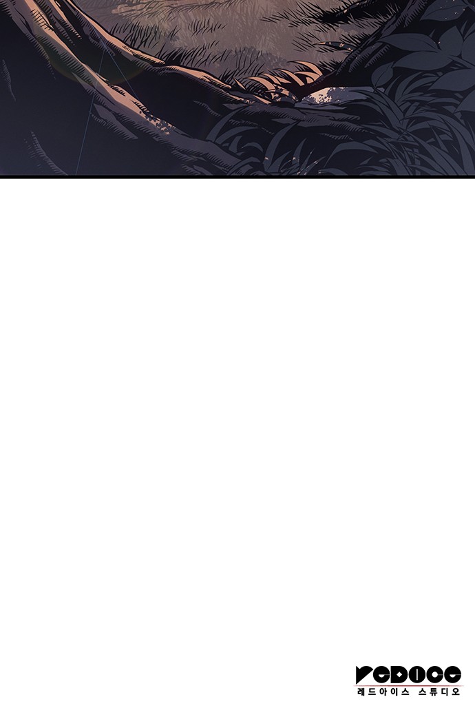 113 페이지