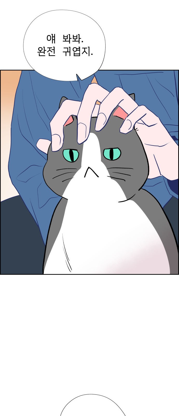54 페이지