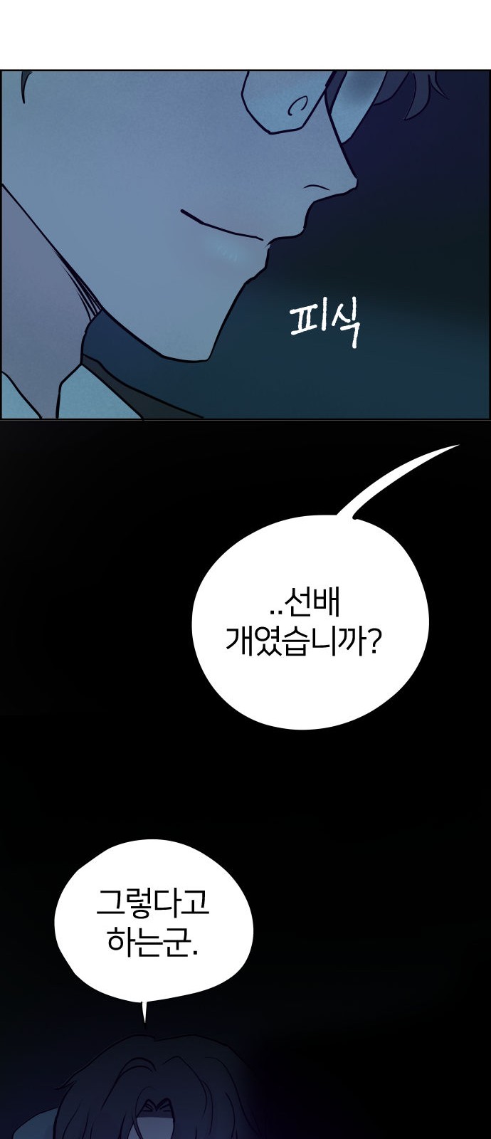 40 페이지