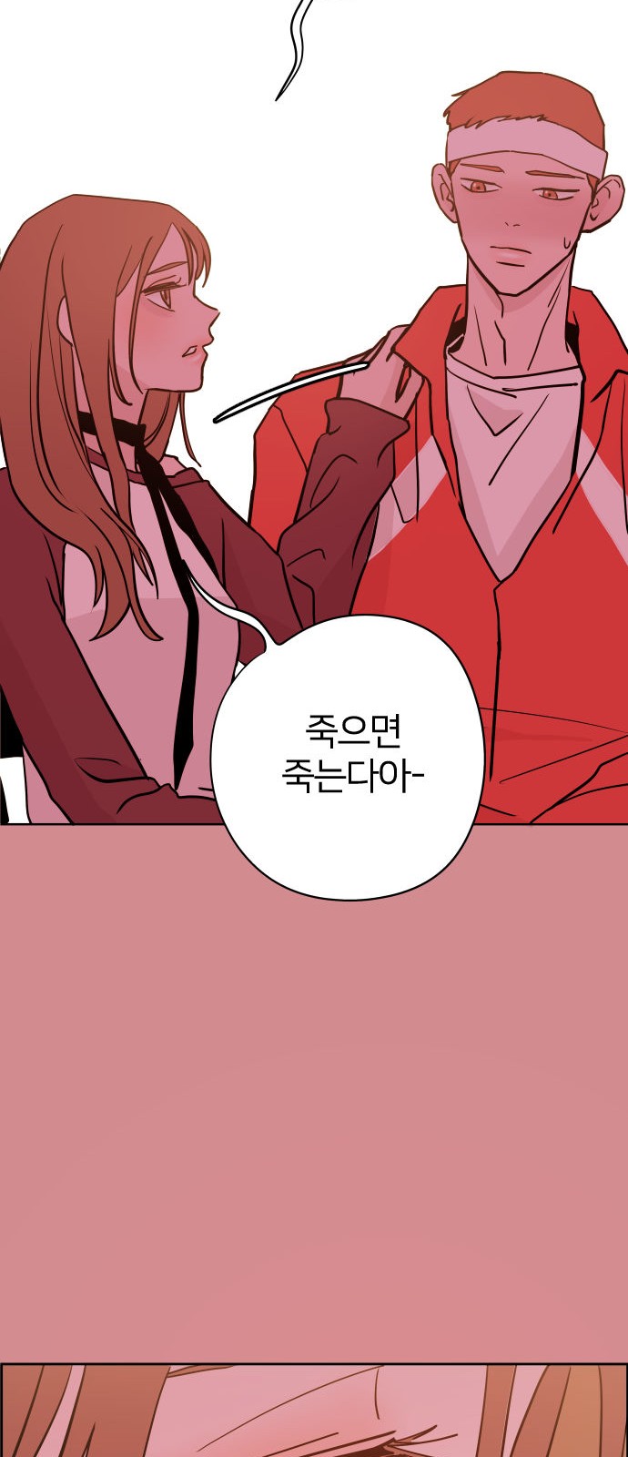 66 페이지