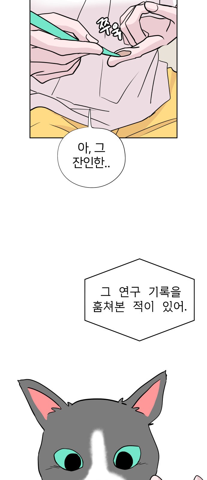 61 페이지