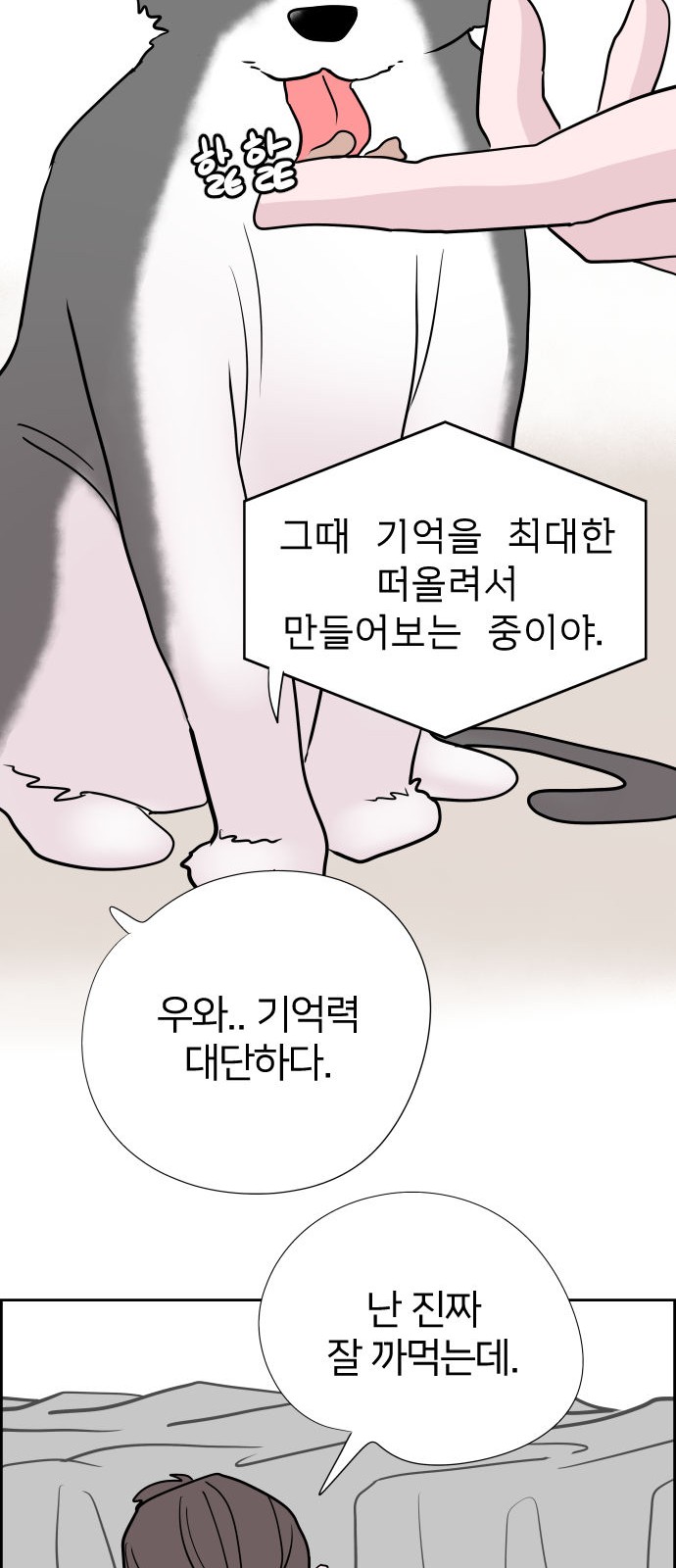 62 페이지