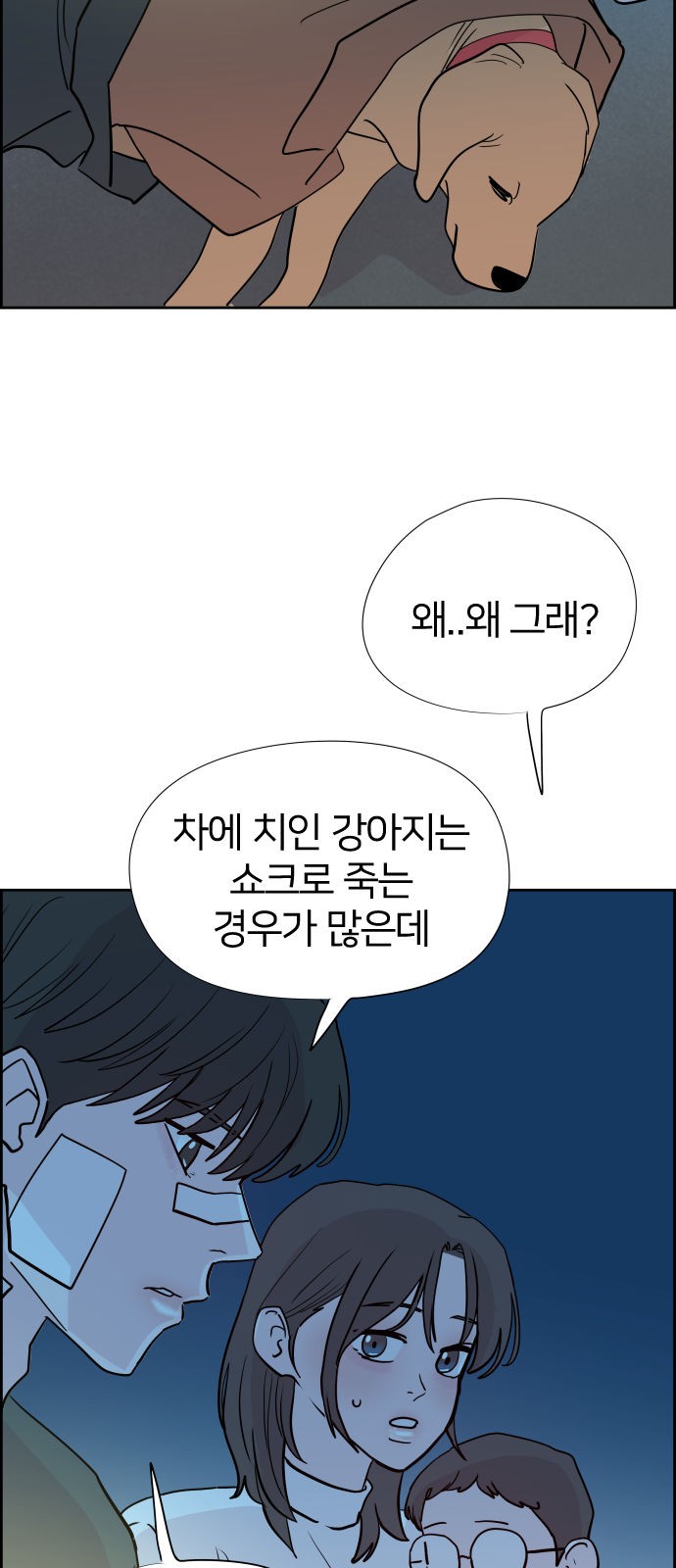 40 페이지