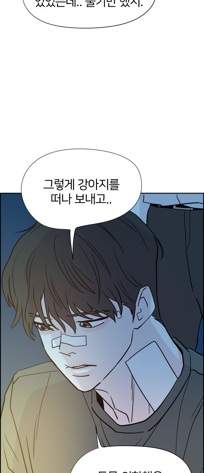 43 페이지