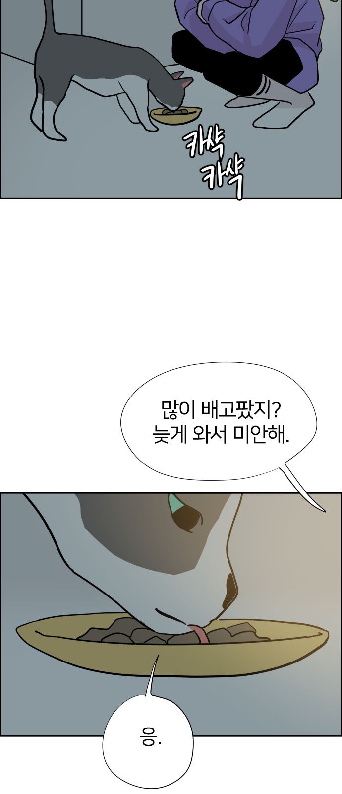 66 페이지