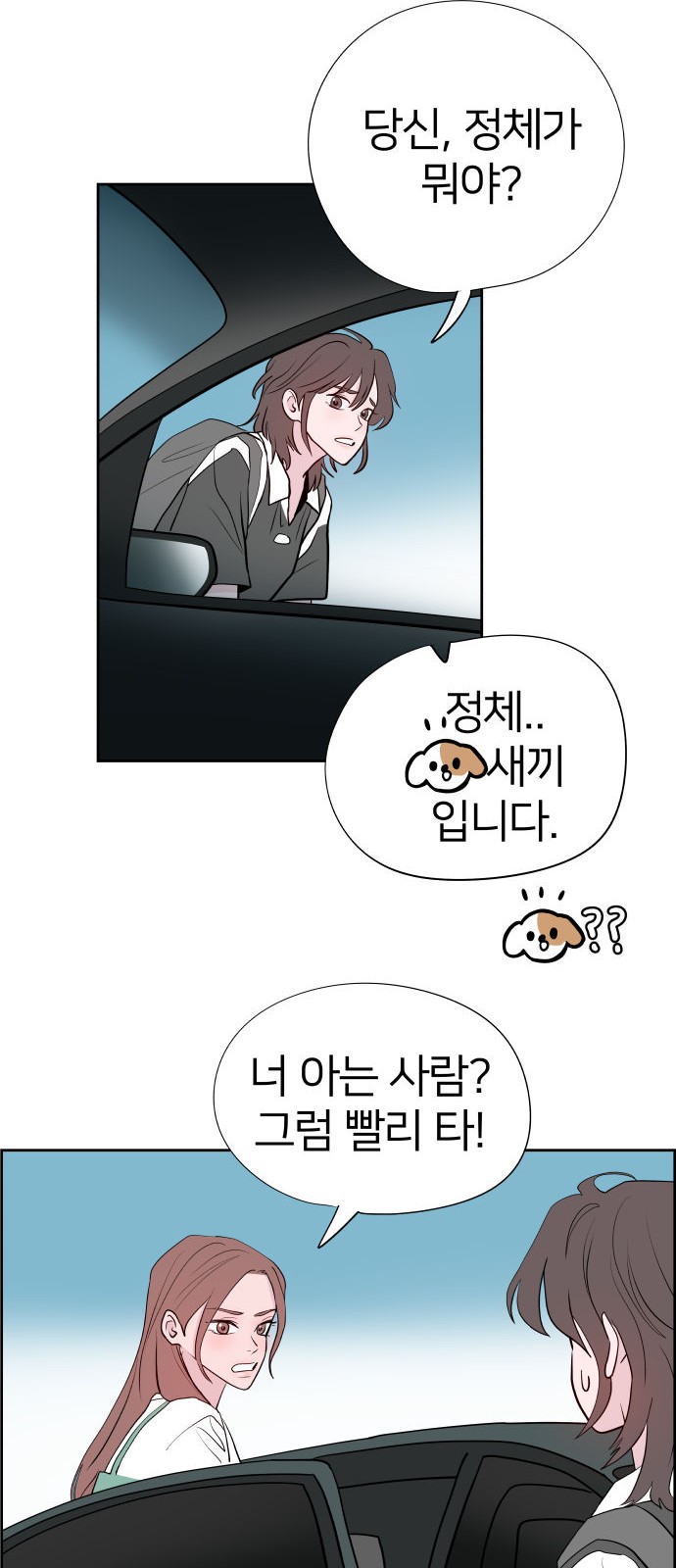 50 페이지