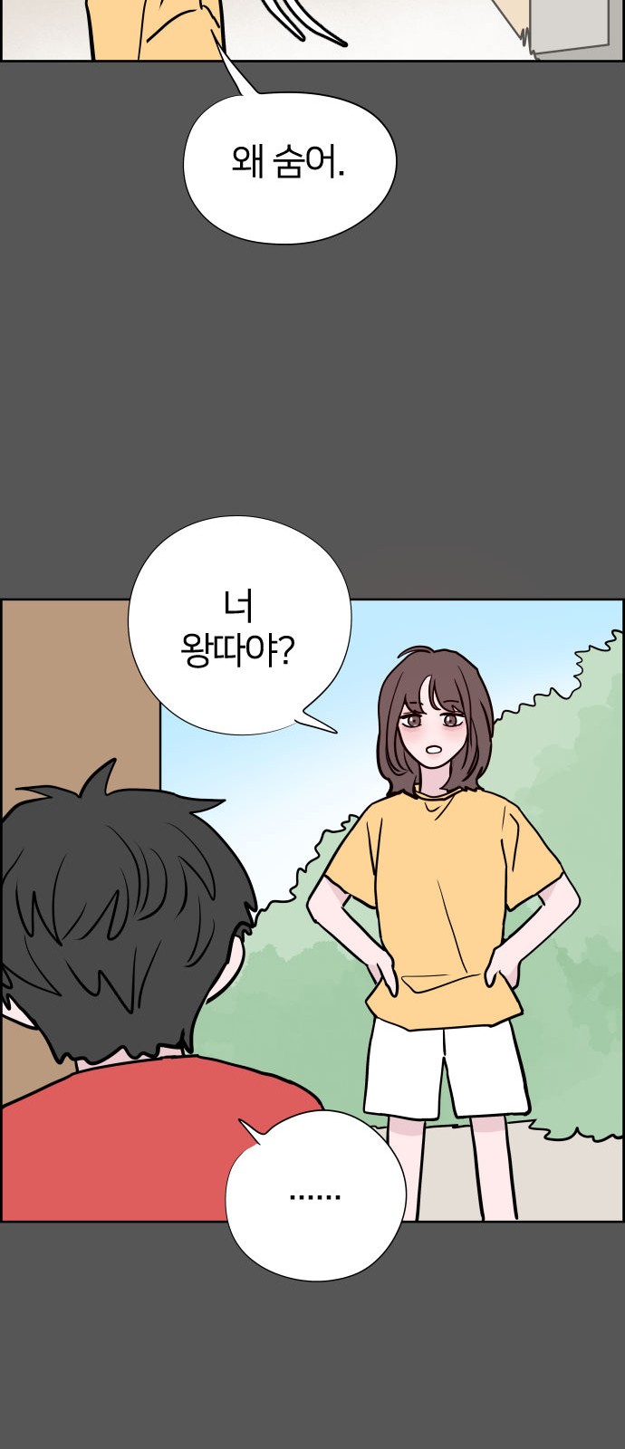46 페이지