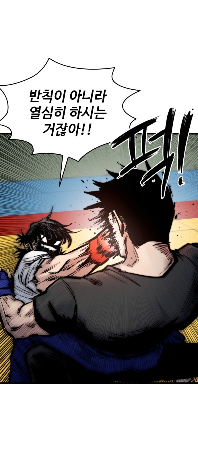71 페이지