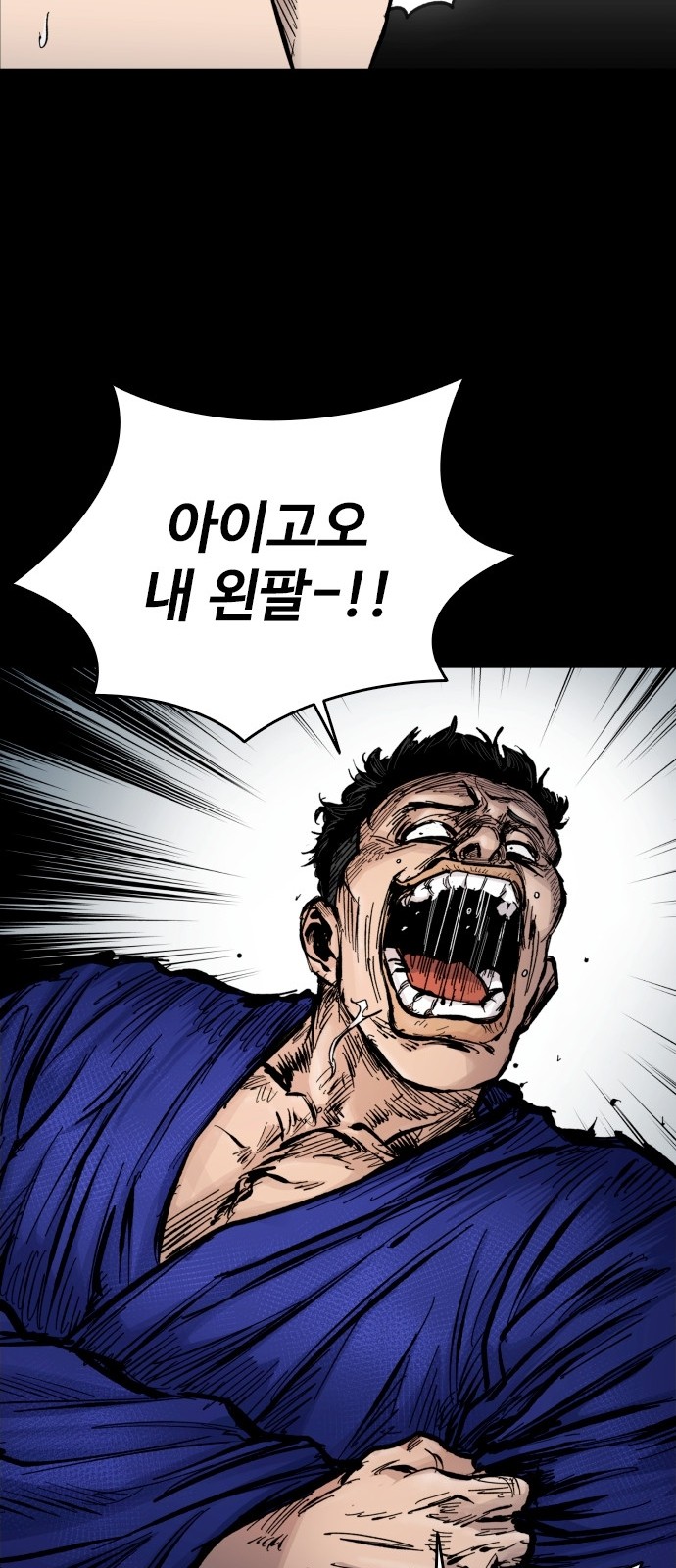 46 페이지