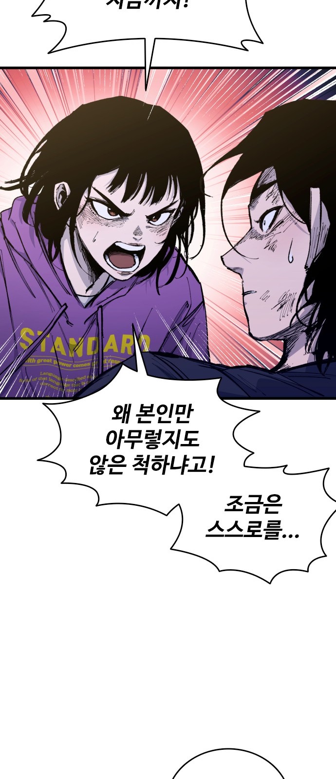 66 페이지