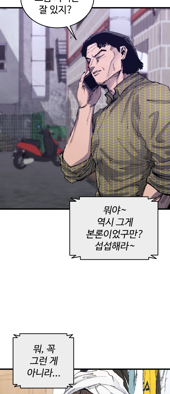 51 페이지