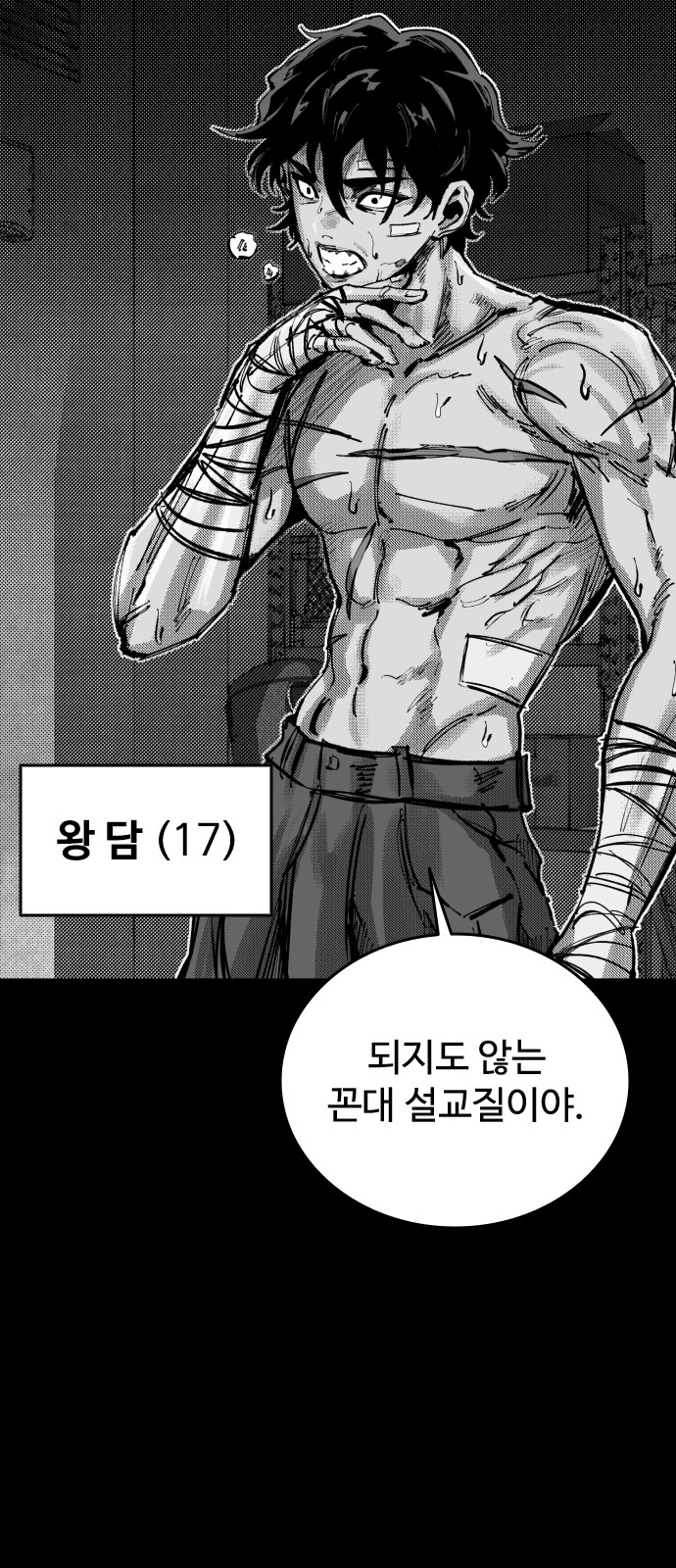 48 페이지