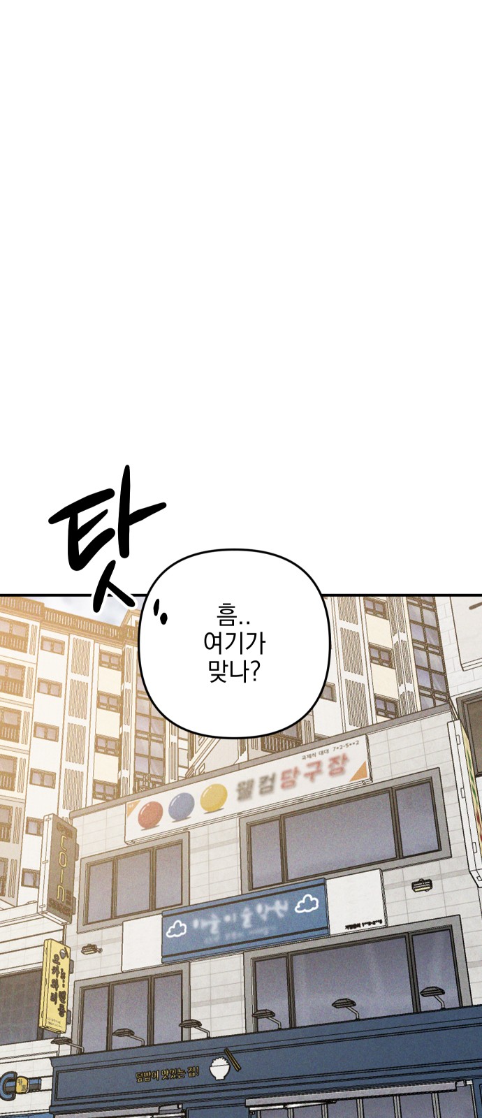 100 페이지