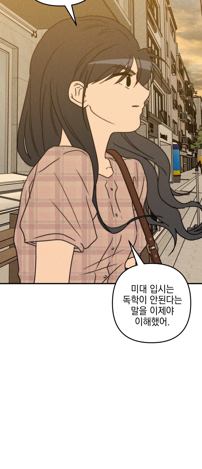 68 페이지