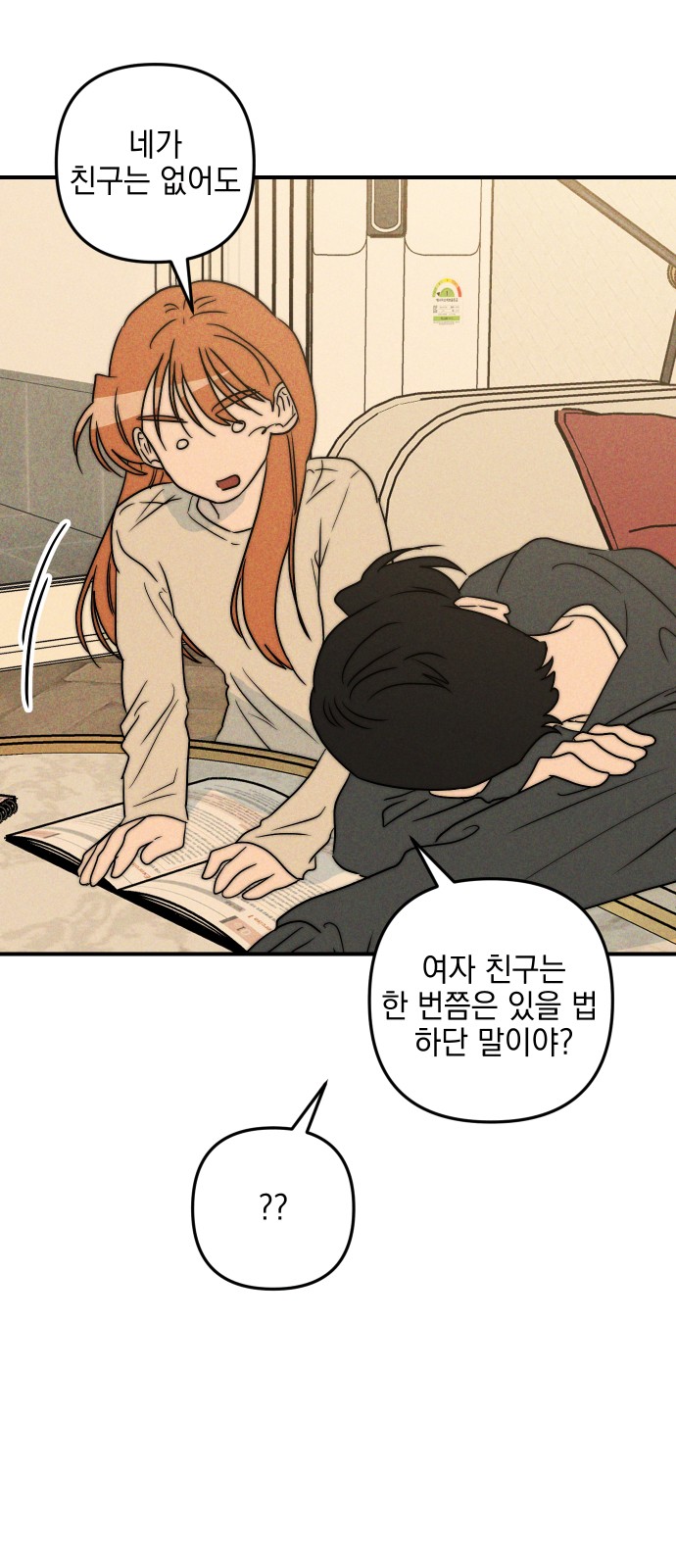 20 페이지
