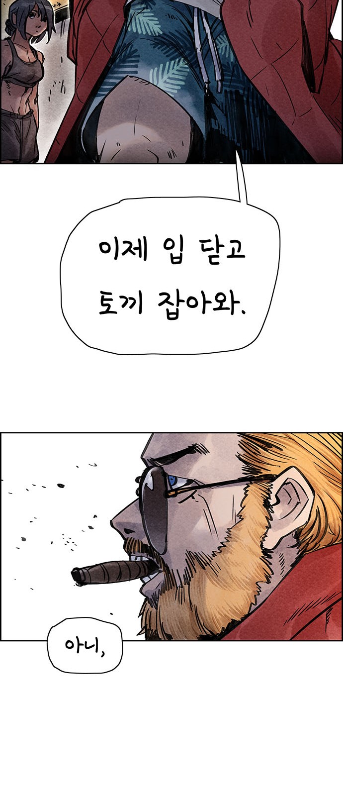 61 페이지