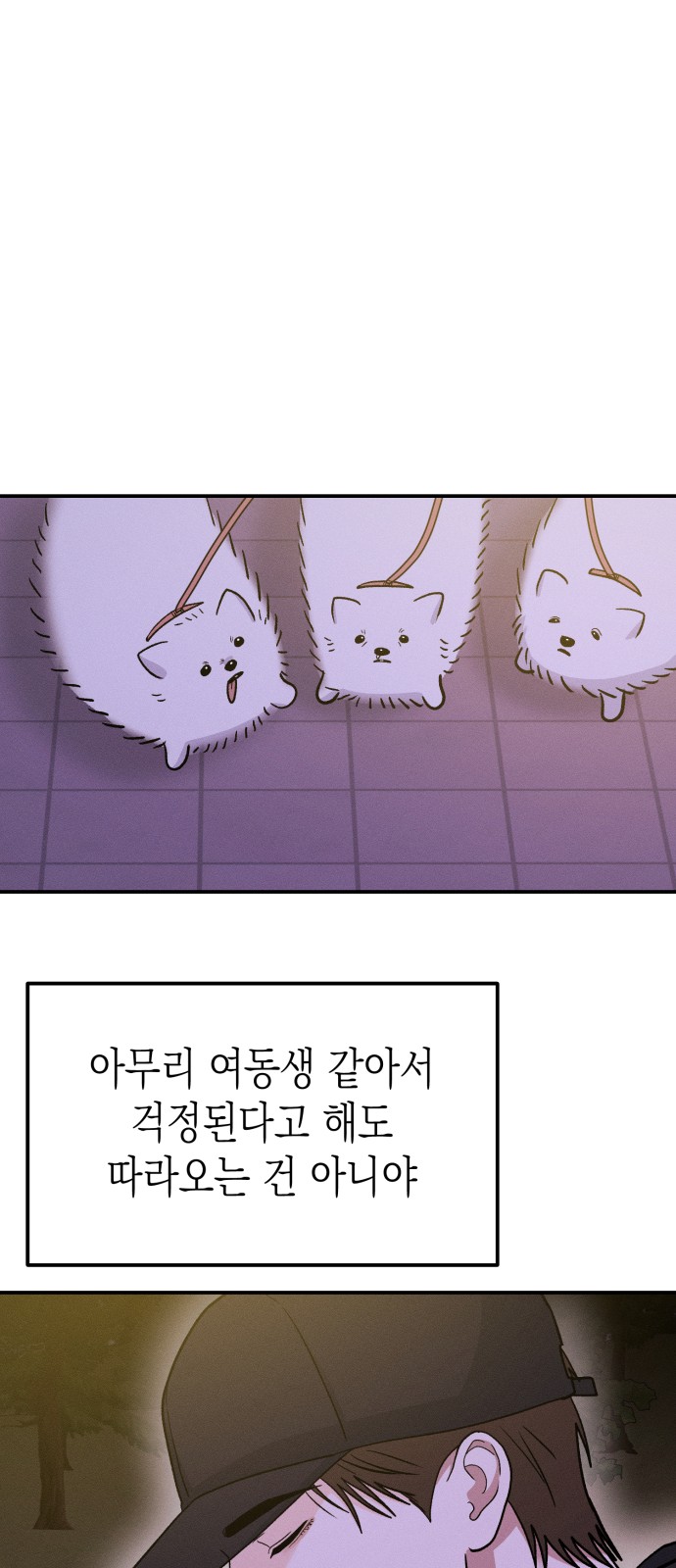 62 페이지