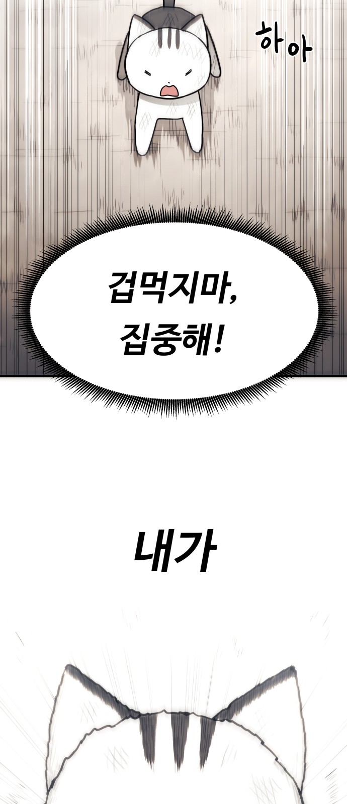 135 페이지