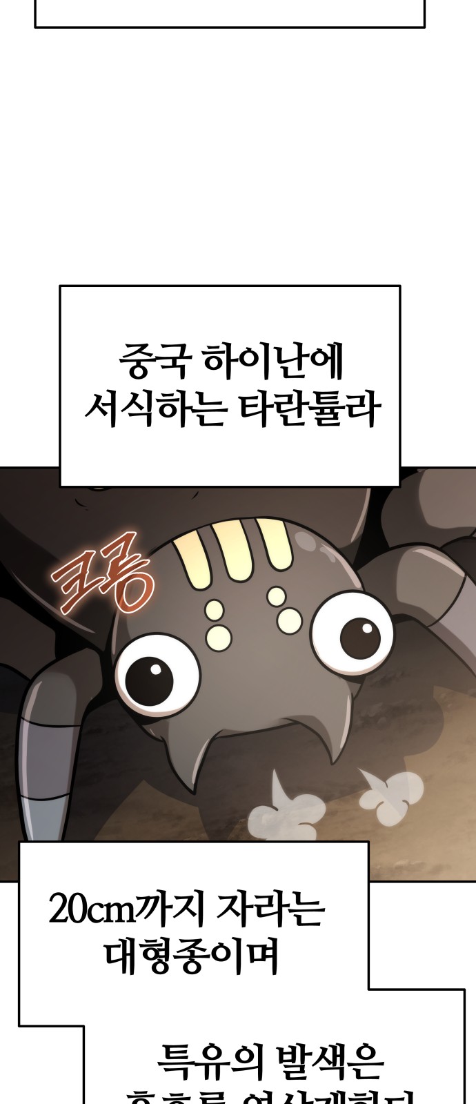 43 페이지