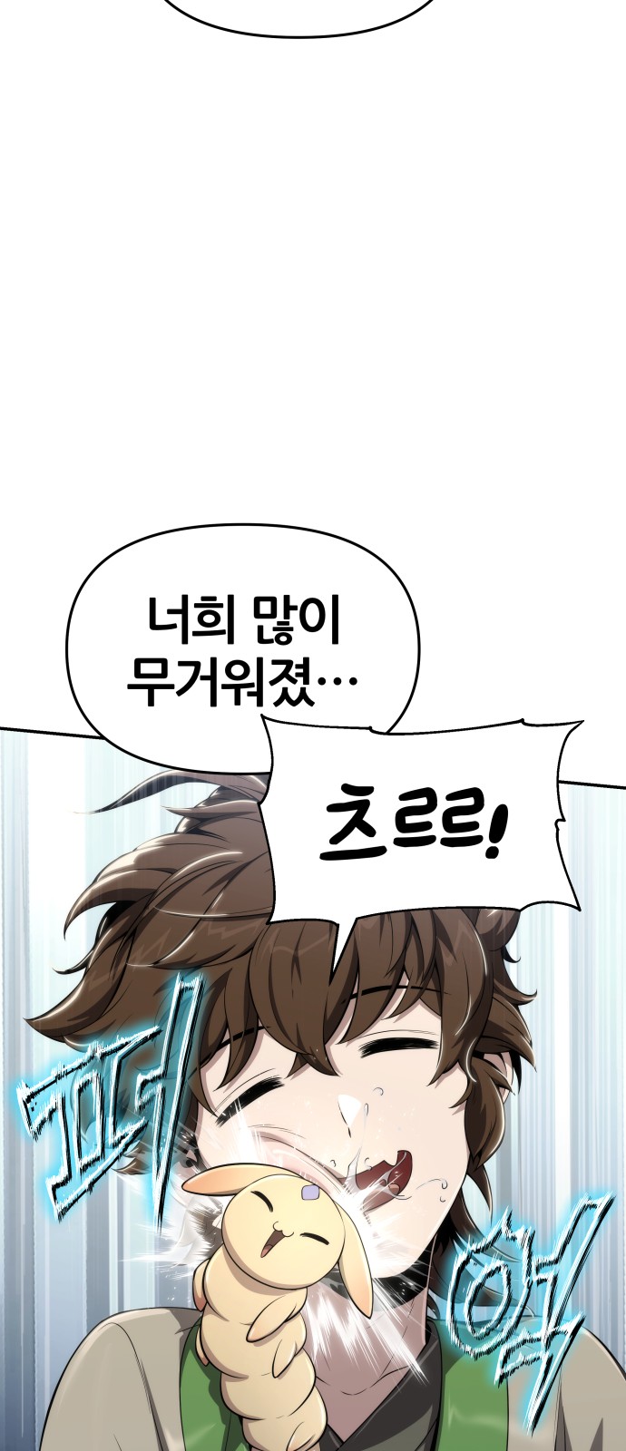 33 페이지