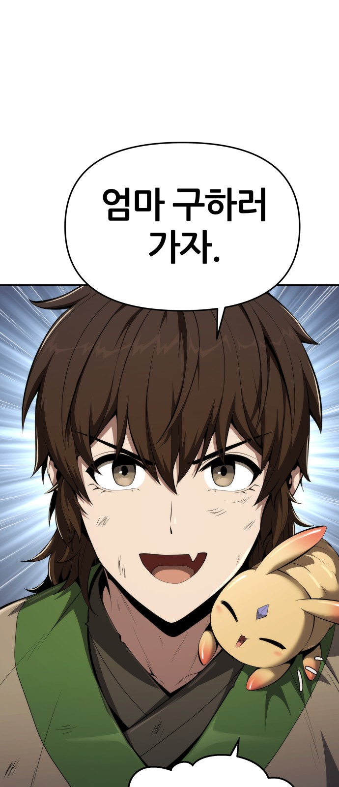 74 페이지