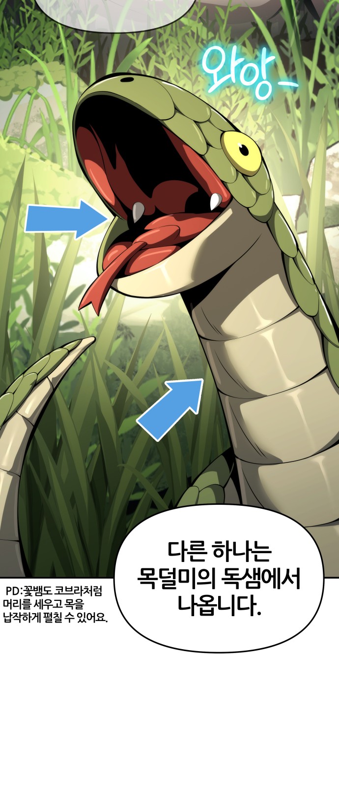 42 페이지