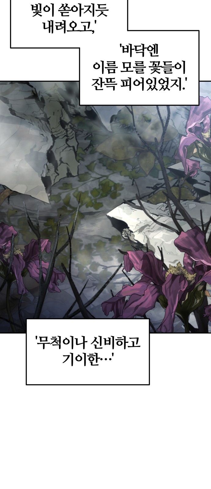 56 페이지
