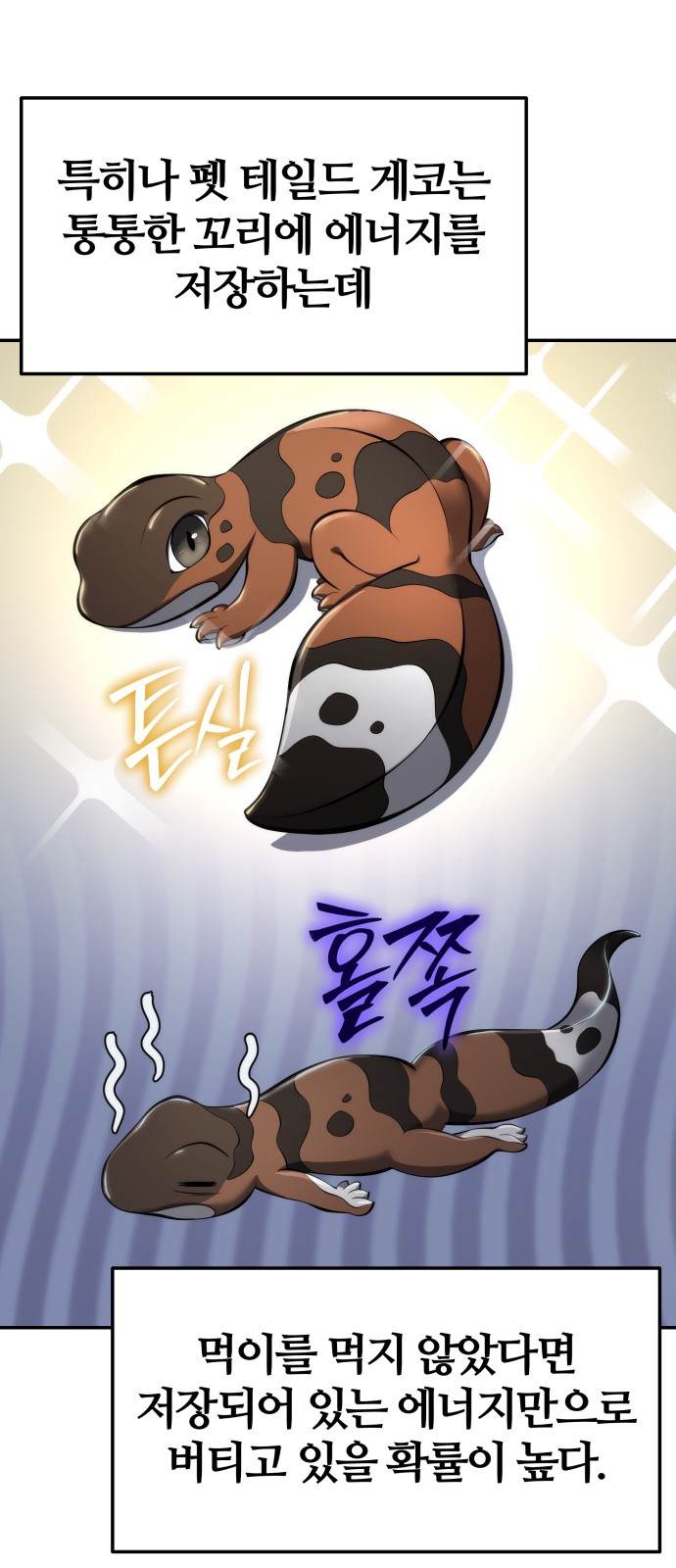 13 페이지