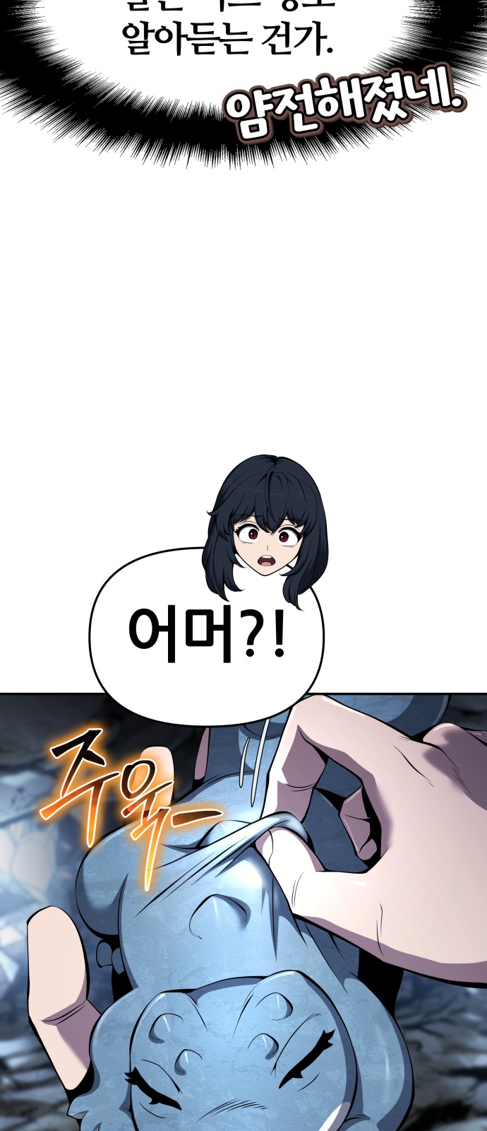 66 페이지