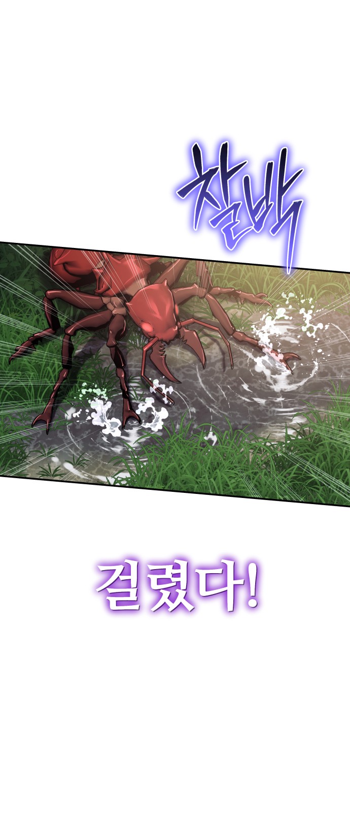 35 페이지