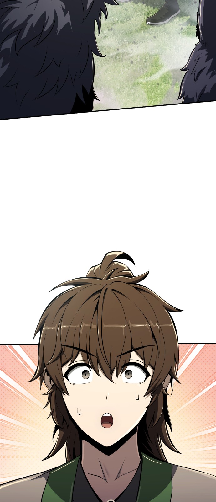 66 페이지