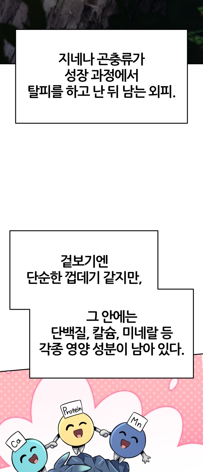 46 페이지