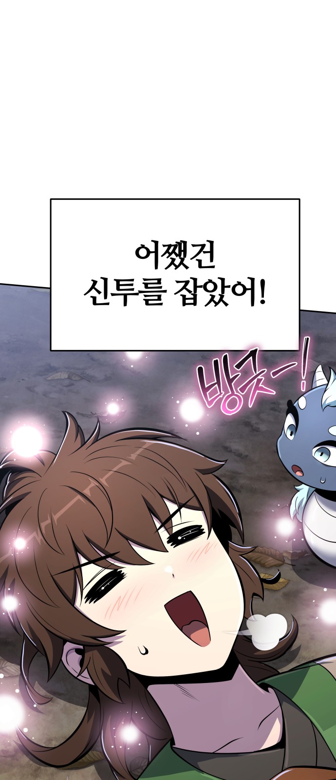 74 페이지