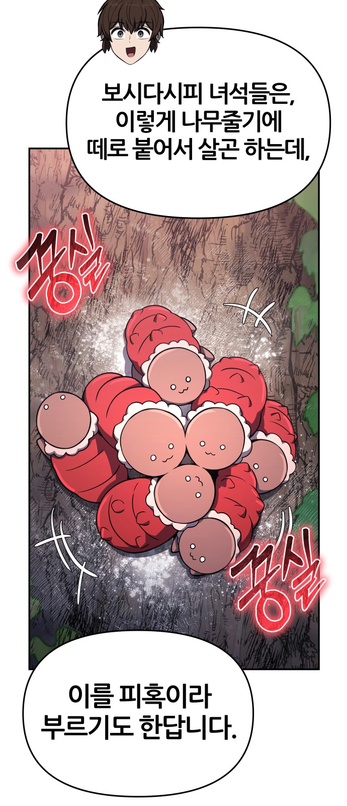 47 페이지