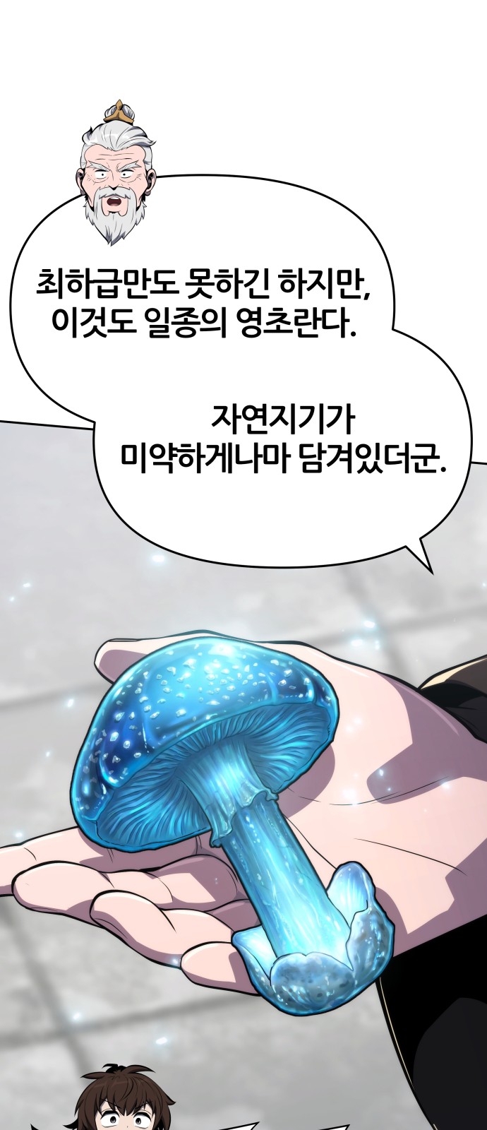 51 페이지