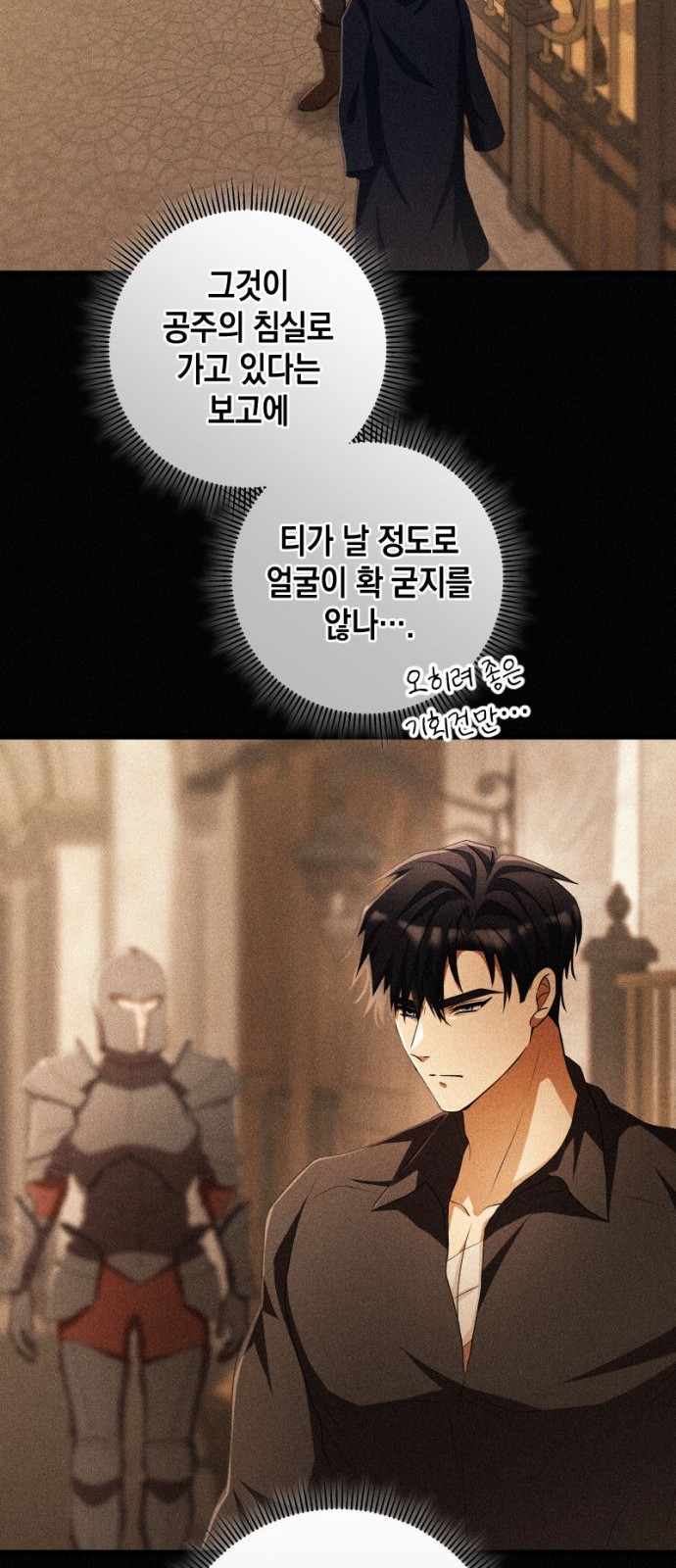 66 페이지